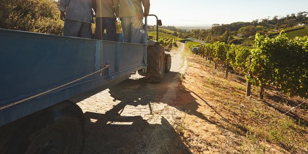 Q&A: How we help agriculture businesses
