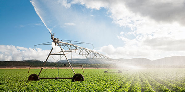 Cultivating Africa's future article image